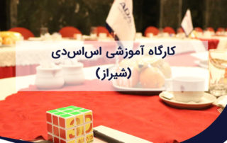 کارگاه تخصصی آشنایی با تکنولوژی اس اس دی در شیراز
