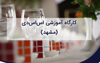 کارگاه تخصصی آشنایی با تکنولوژی اس اس دی