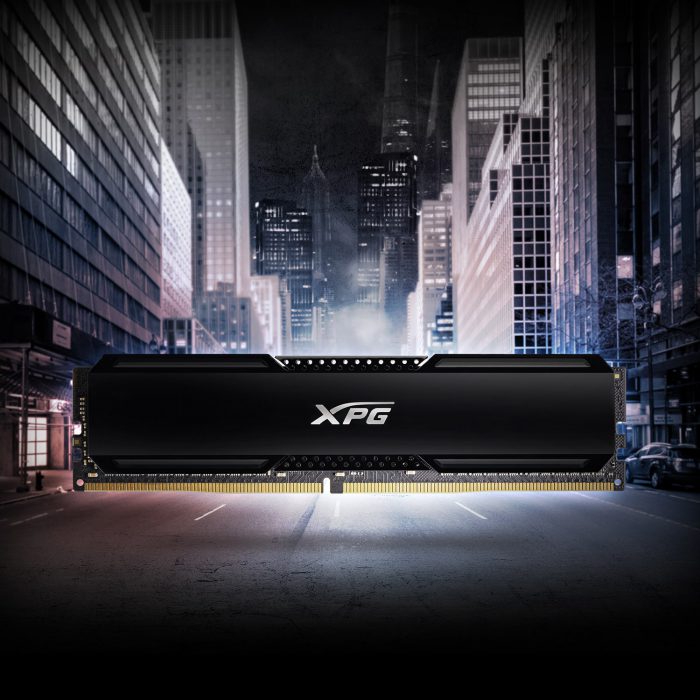 ماژول رم GAMMIX D20